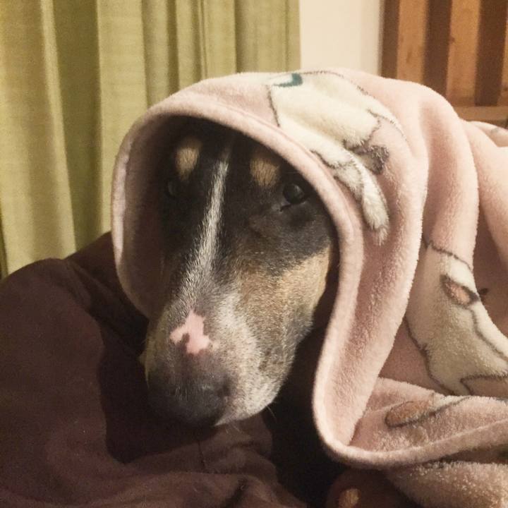 959dc554 db68 4159 be7d 313611877401