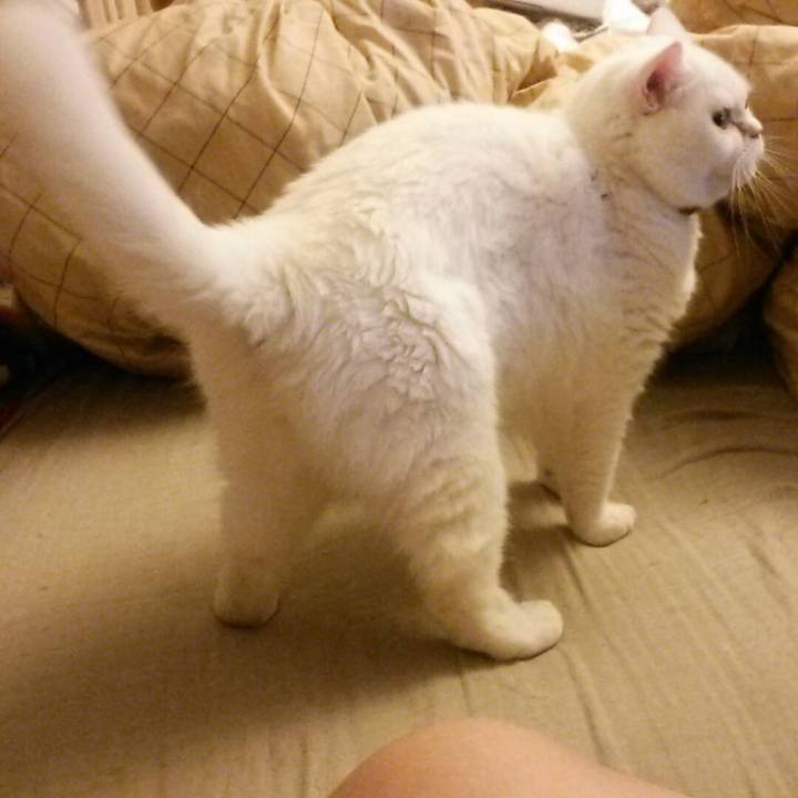 959de5d4 bfd7 4994 b163 a65b2d3c292c