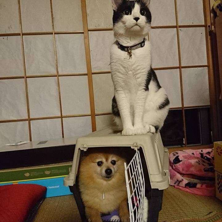 959ee968 8fd9 40f8 9f11 7284b3d4f86a