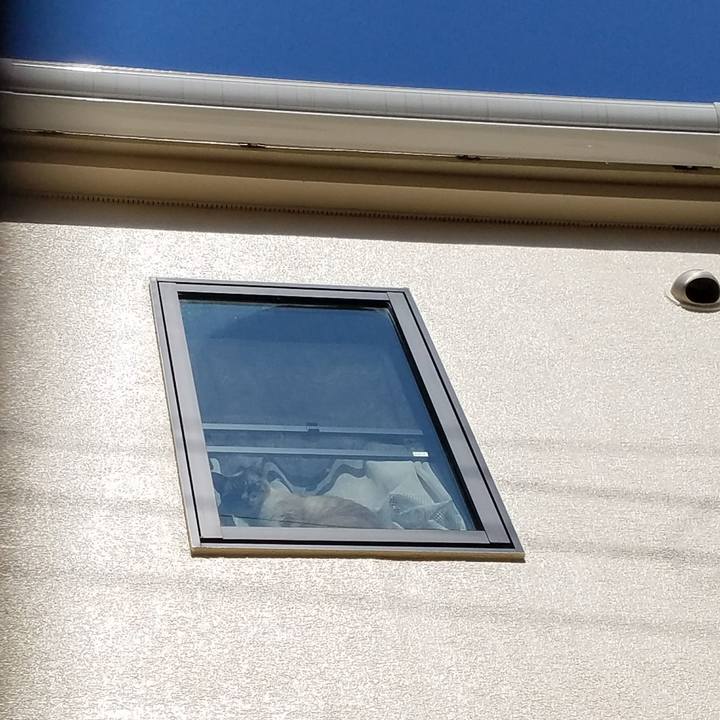 959eef5c 90cf 489d a89a b2796dff0297