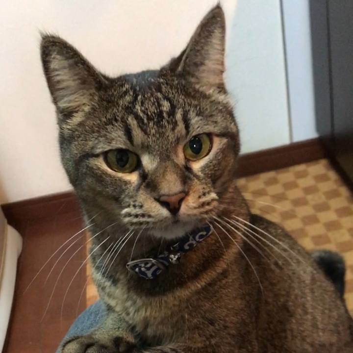 959fb857 09b4 4ae8 b09c 91f3cb533b17