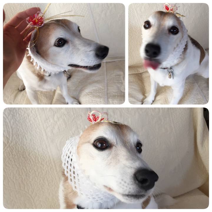 95a0d676 490b 47d1 acf8 0f7ae19b4c14