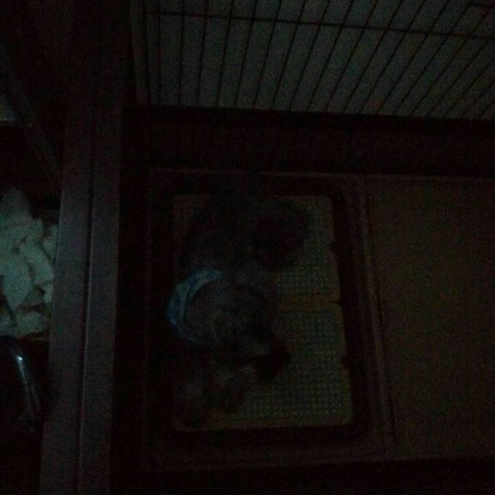 95a1234e c103 4a85 97ba d365c8f9dfa2