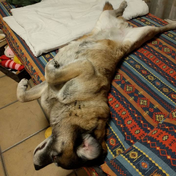 95a1986a 423e 4127 b649 19bc7693a834