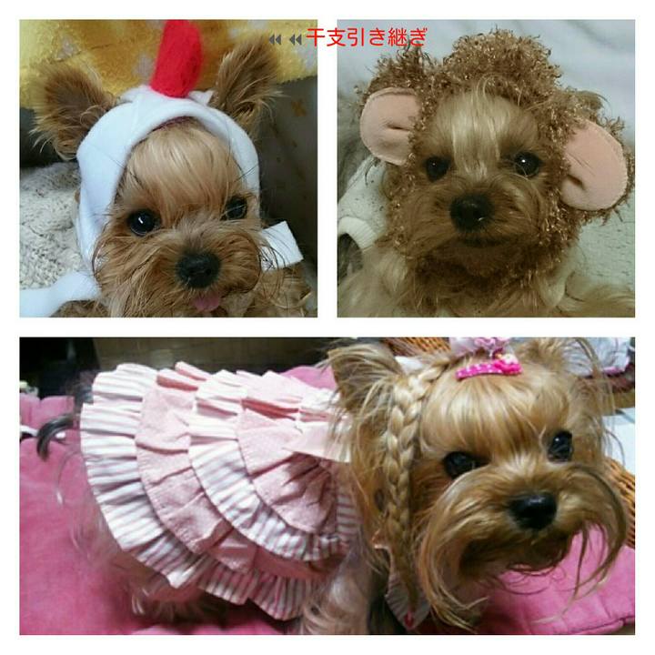 95a19f93 543b 4cd4 ae9a 8deb093498d7