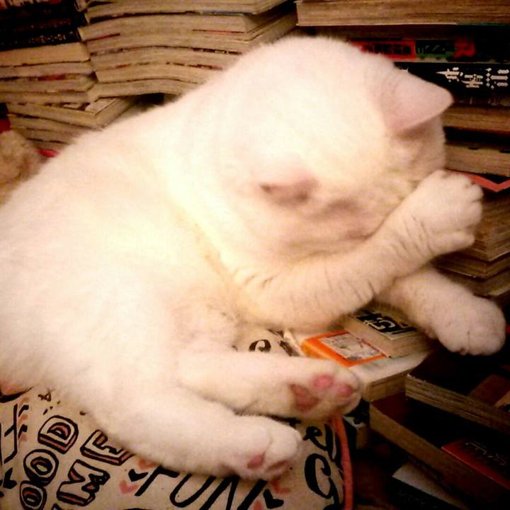 95a1bda5 0b9f 4b87 a1ac 380c85fb5227