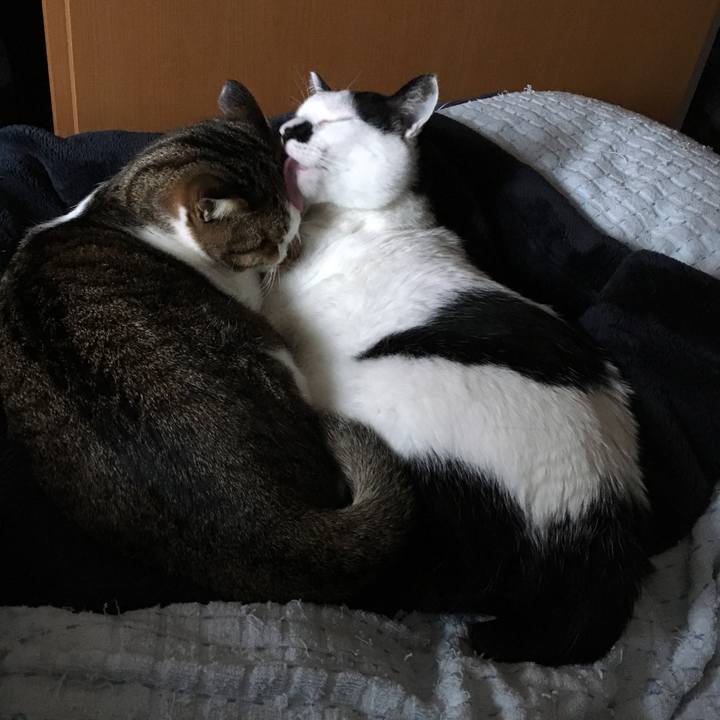 95a1c118 7d59 47fd a690 66adb89ea3ce