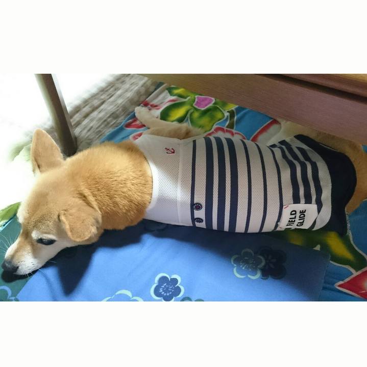 95a2f68c 67d8 44bc 840b 8e3cec045aae