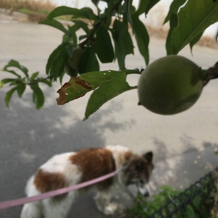 95a37842 9ea8 43e9 bfdf e8d2731e5ad2