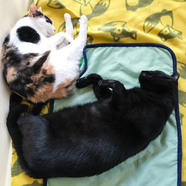 95a3afda 0de4 472d a130 337a0e589d20