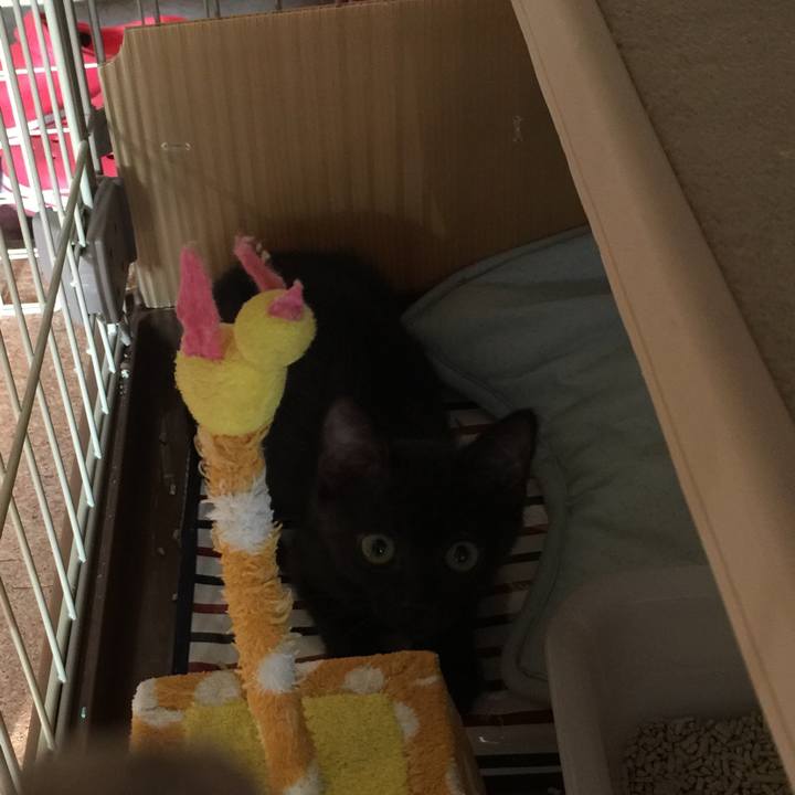 95a47e64 70db 43ea b177 dc4db45934b5