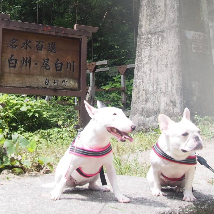 95a48d32 b9b7 4285 974d dfdafe6c9df0