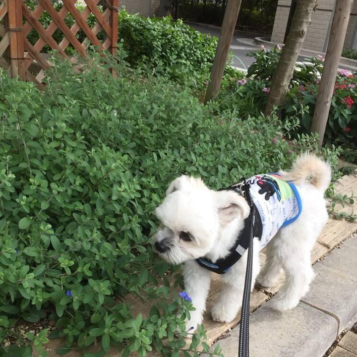 95a4a61f 0c42 46ca b994 fd33629c2d03