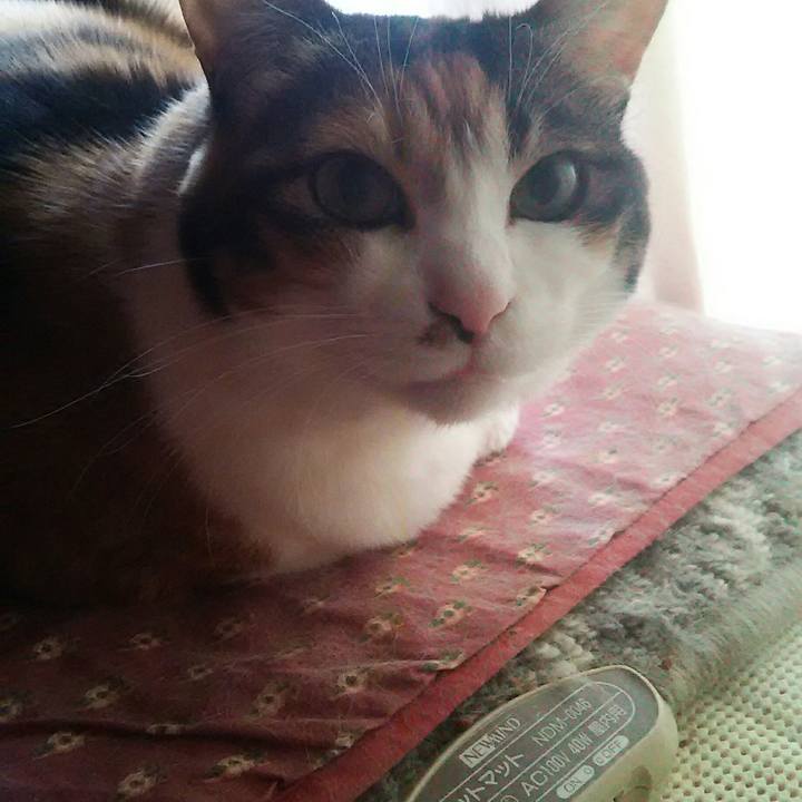 95a4add4 e8f7 4ea3 8443 85a04c789a27