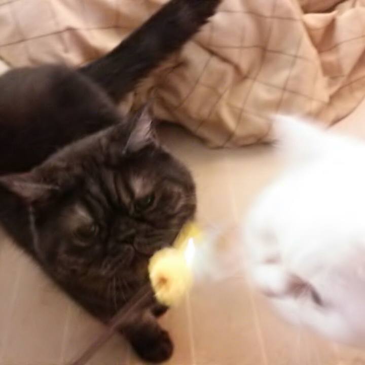 95a51c42 c03e 44d7 957b 8b796bf63fb1