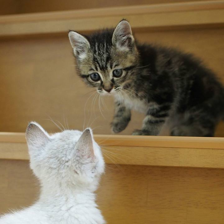 95a5ed25 3a17 471b 9148 d1f35812f076