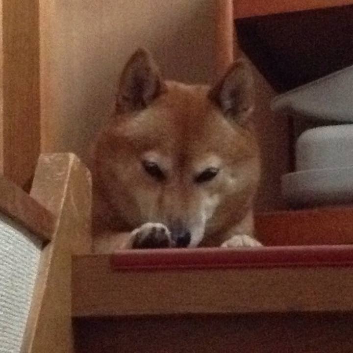 95a64d0a b772 4c05 9151 5f9c931b4884