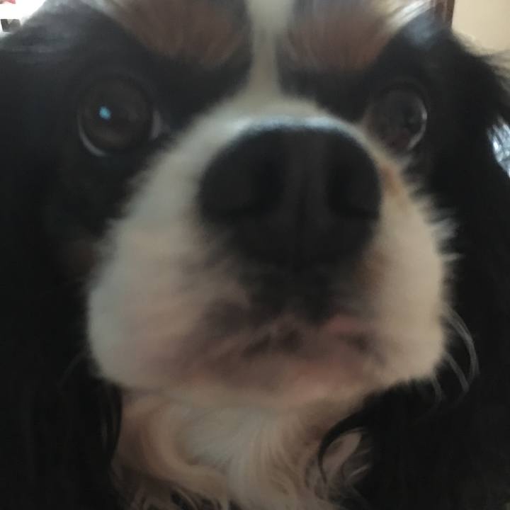 95a6aadf 49ac 48f8 a7bb 375d2d9f738e