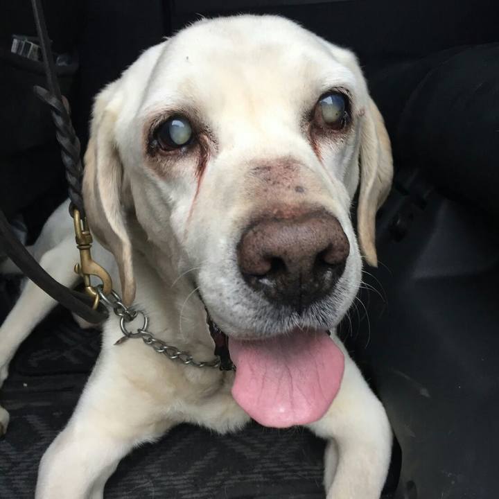 95a6ac7e 3065 4069 b6c7 0d8bc7d50bc3