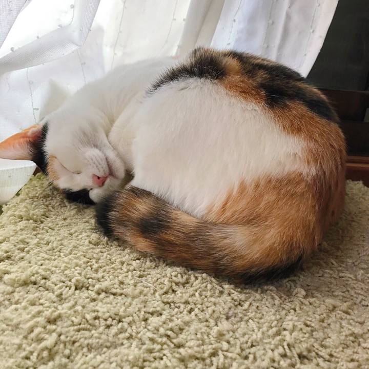 95a7d5ac 6eb5 4ea7 a9d9 73980479f4a1