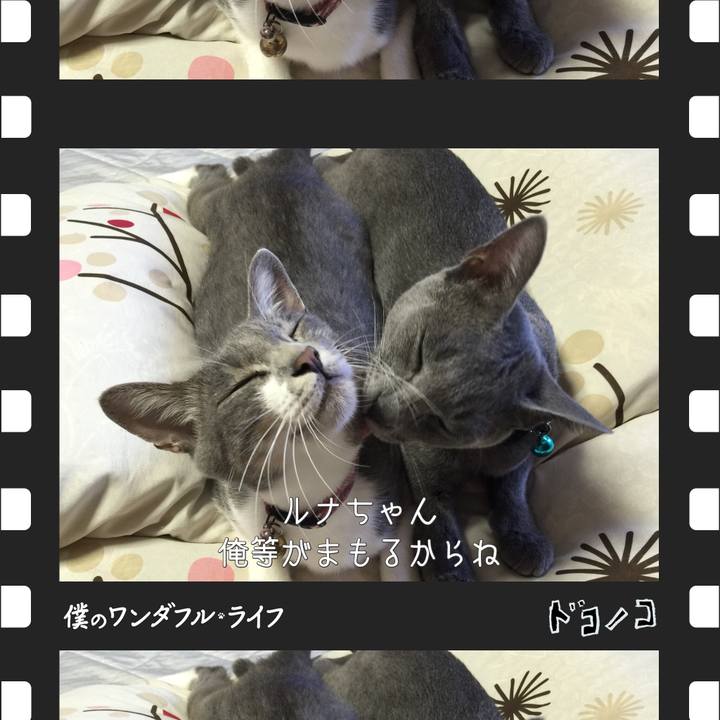 95a81a75 4f47 43f2 8c2a 89179d825364