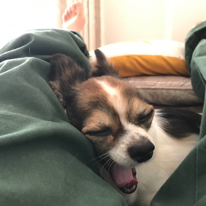 95a83ebb fe5c 45fa 8772 2067840a12ea