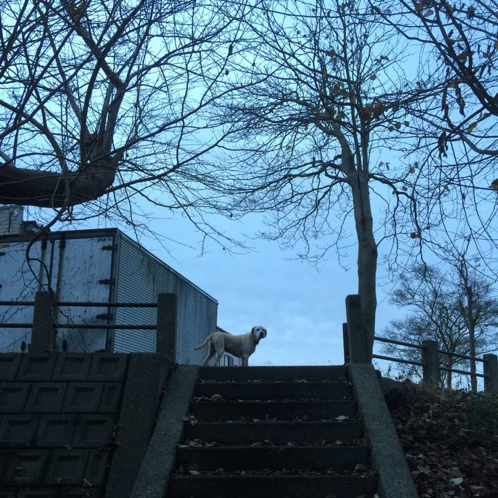 95a91912 5462 42b1 8a18 1ec526ad327a