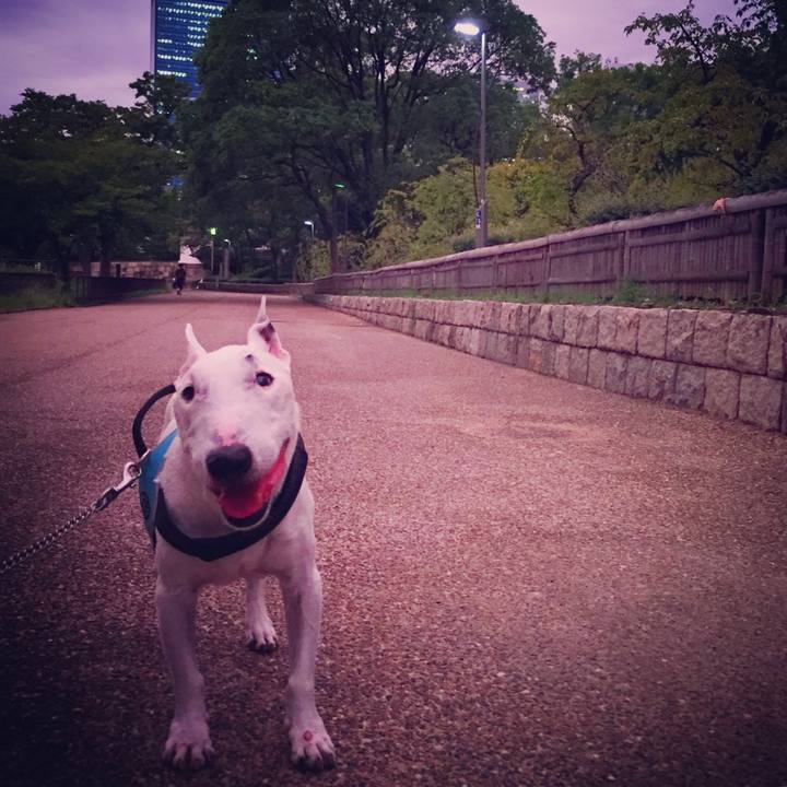 95a96673 3c1c 4c40 ae04 55a48638824b