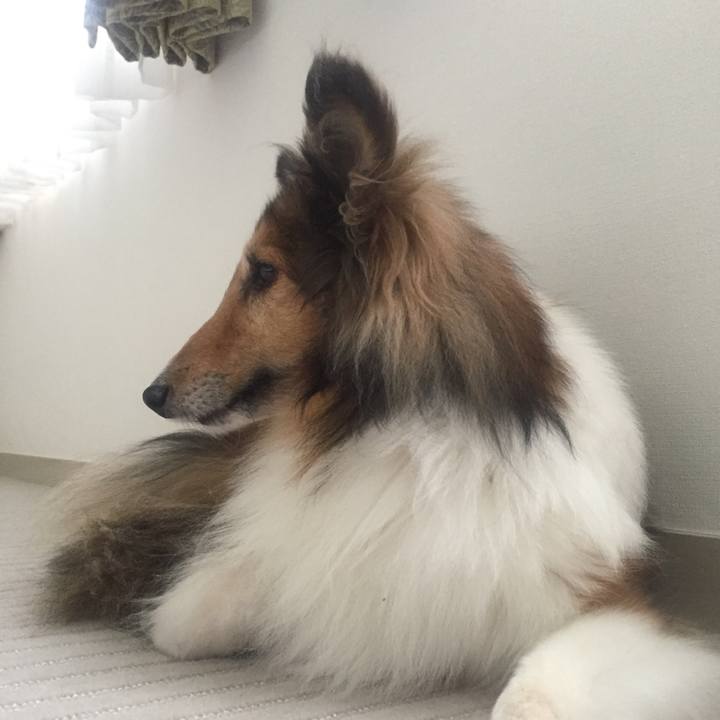 95a9b01b deb0 43c3 98cc 8f1716c21960