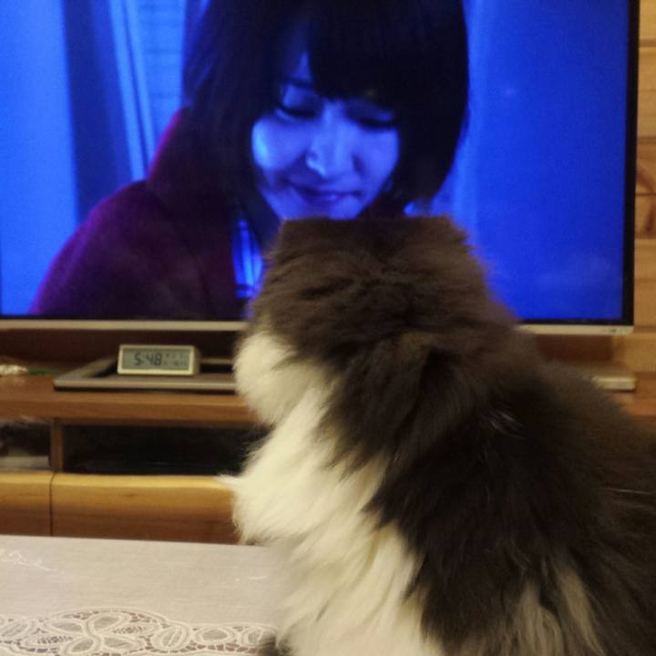 95aa1dfa 8fb2 463a b3aa bcc29b2a51b8