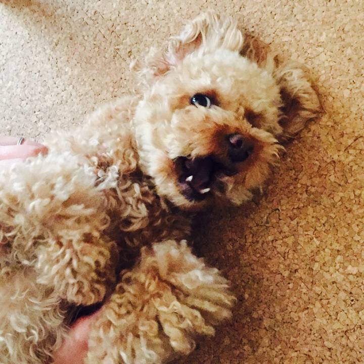 95aa5418 f30f 4de1 aac9 dead827026a1