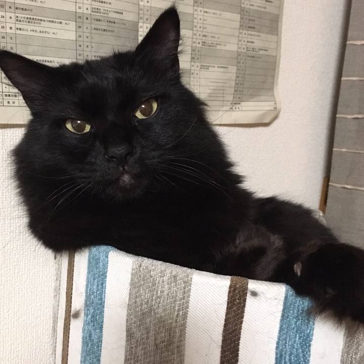 95aa7705 5fa9 4795 a2d9 b8971383df2e