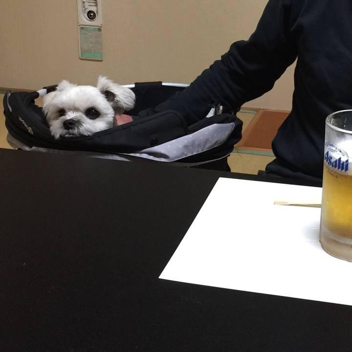 95ab56bc 5233 44c3 a9de db37b152d6fc