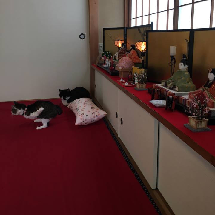 95abb570 dc0b 4d92 923e f29d8e7bf1e5