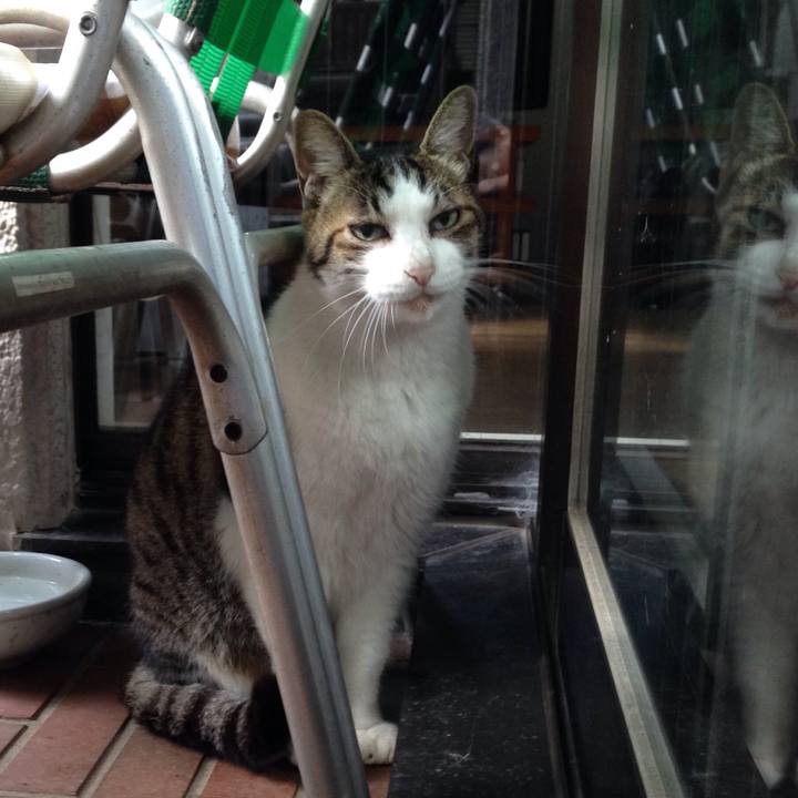 95abcdfb 82e9 4596 9ad1 f84d7a1a2989