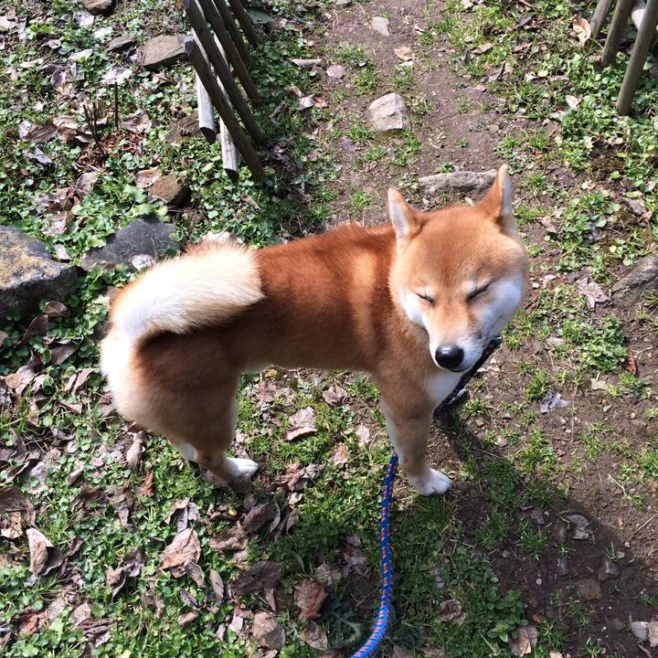 95acdf9a cc76 4374 bcc1 aa4d75d62bc8