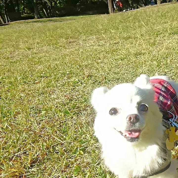 95ace304 f54f 4ace 8d75 9e5476799fcf