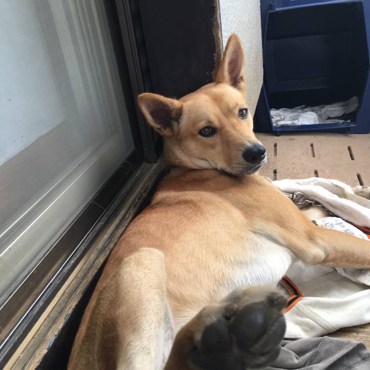 95ad4cf2 c16a 4af8 bf28 bc1783577007