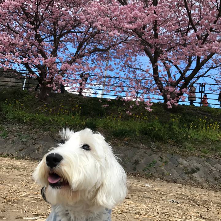 95ad75a1 cd1f 4487 86bd f3bf8ed493f7