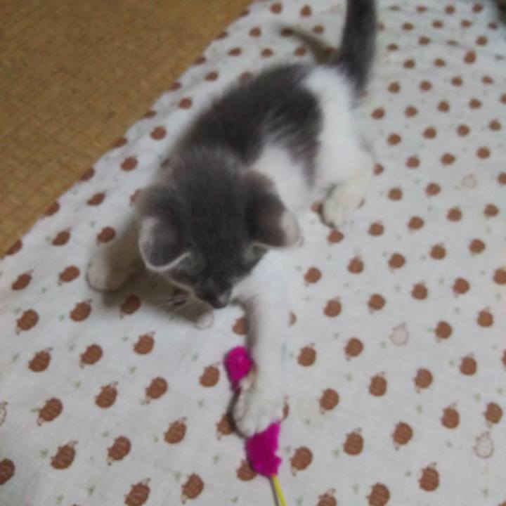 95adb1cd 9eef 445f b8bb e3a0d65e9309