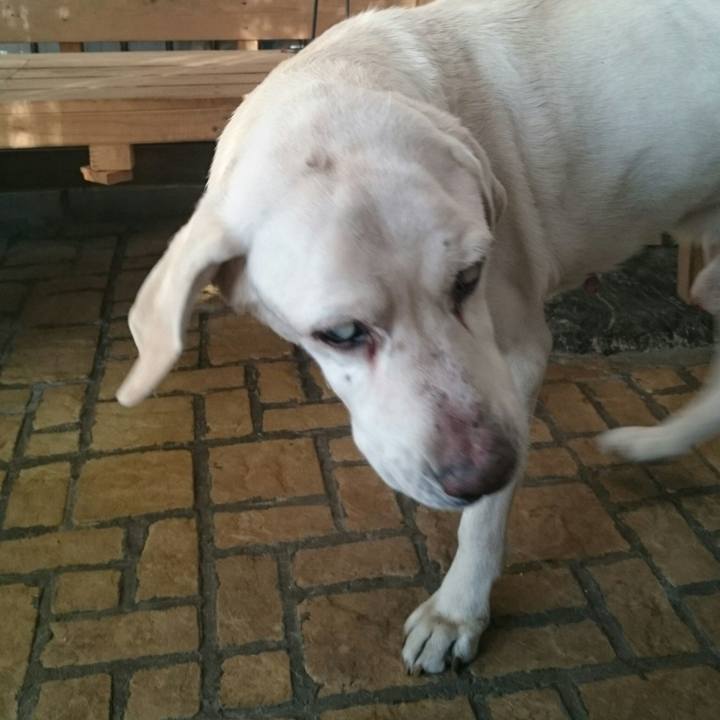 95af0aea 040b 402d a5dc dbef1204da28