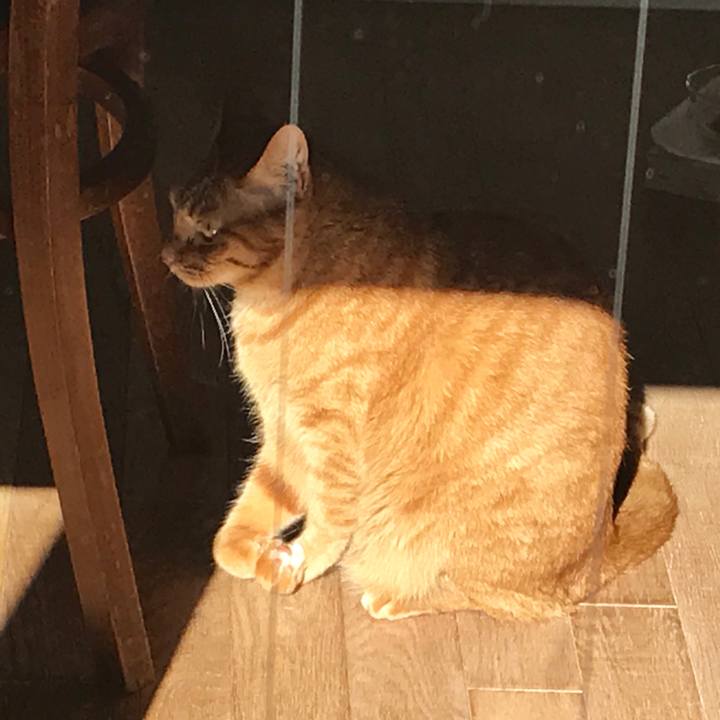 95af75f2 7db2 4014 9996 74c7a3daf015