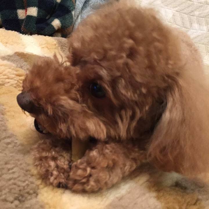 95af947e f7ef 4af6 9593 202a2b62b9a8