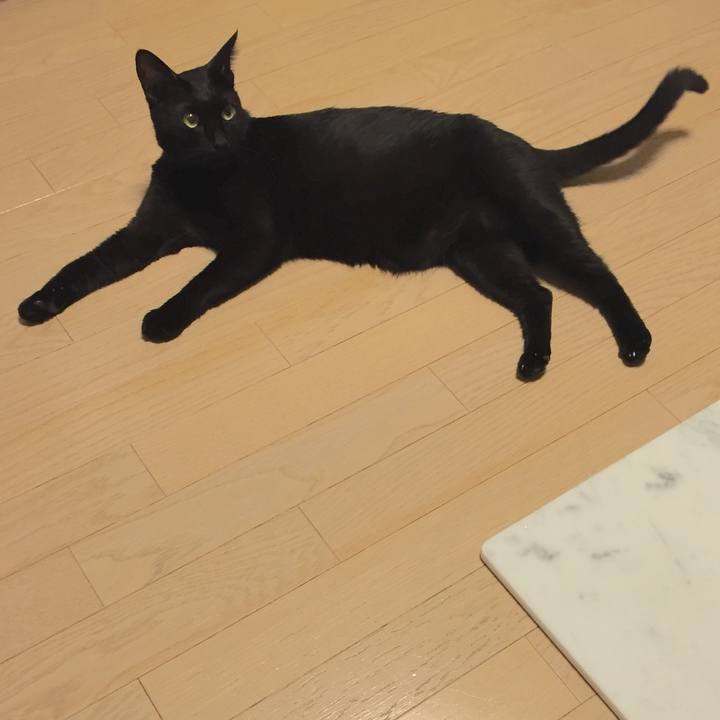 95b01237 793a 496f b307 dd0e7908c0d7