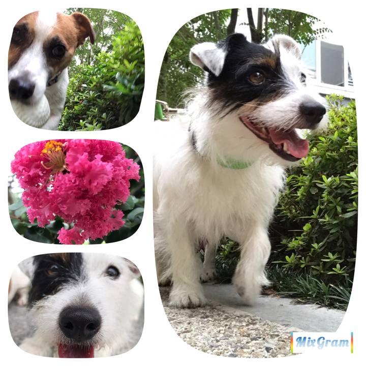 95b01253 95c1 416b b729 51bd739ed287