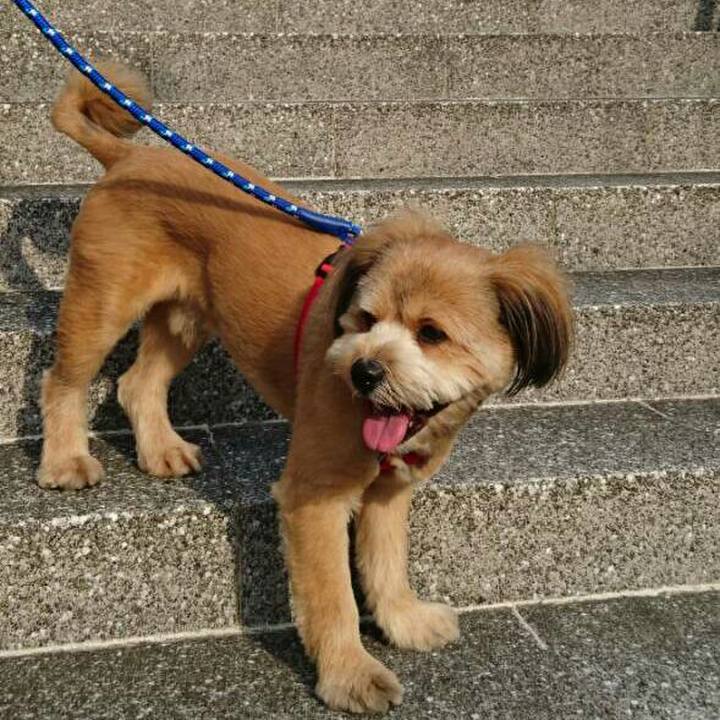 95b0548a d371 4db3 b5f7 67d3e8a91380