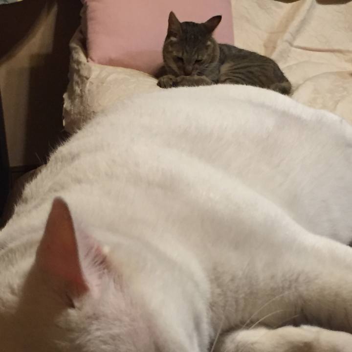 95b066a0 5f27 4a1e b477 387339a2c3f2