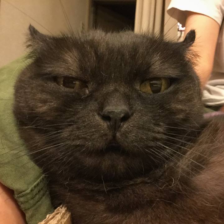 95b0f1e5 1c01 4b0c 85a3 cd849ae765ff