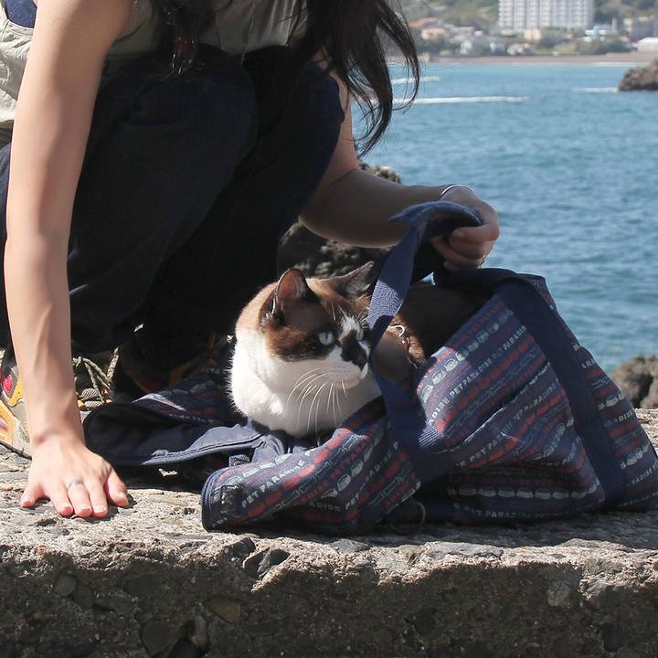 95b10834 f98e 4819 a12f 18c27f4c255d