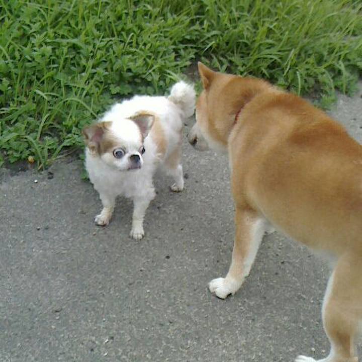 95b1b026 edf1 4e84 8faa 2b7dacdcdc9f